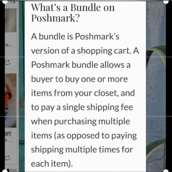 Silver Plated Dolphin Pierced Earrings - Picture 7 of 7